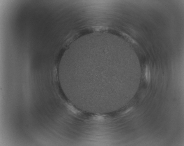 X0000069790523200605261700