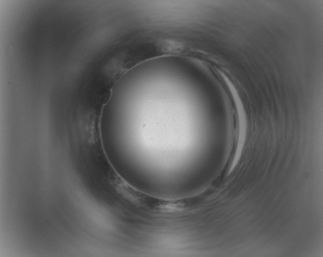 X0000069790525200605261700