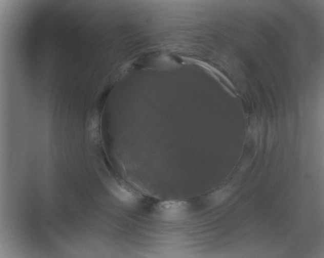 X0000069790526200605261700