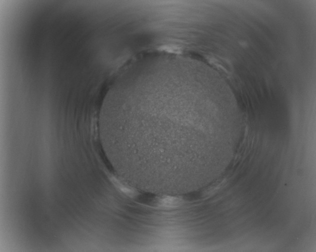 X0000069790527200605261700