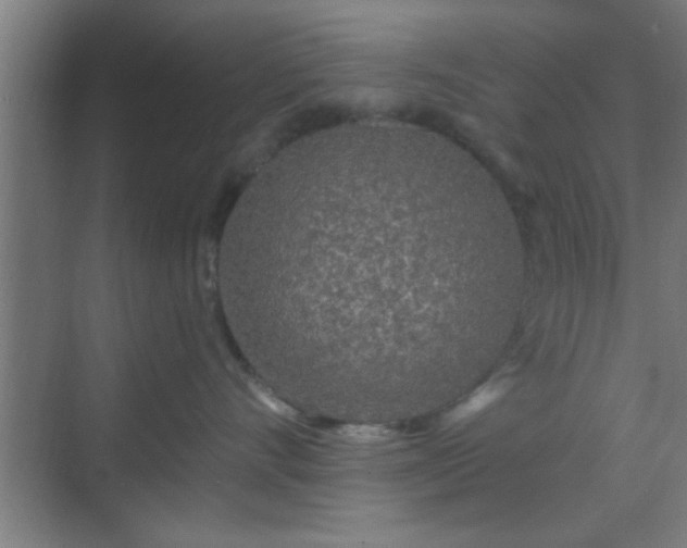 X0000069790528200605261700