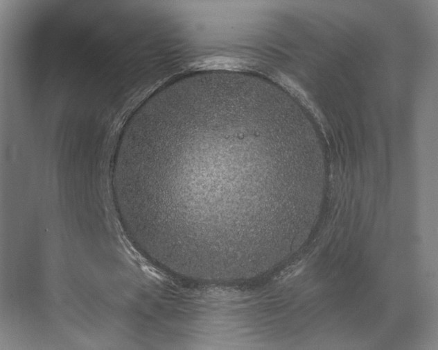 X0000069790529200605261659