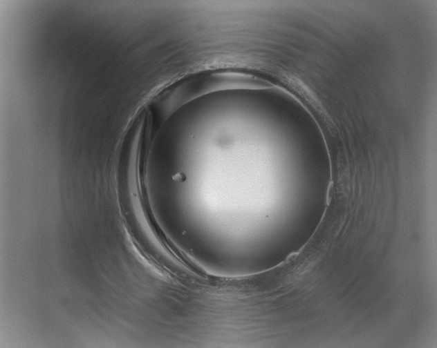 X0000069790530200605261659