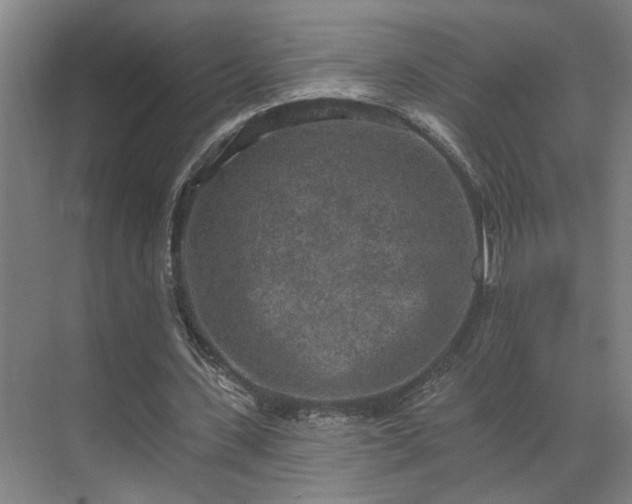 X0000069790531200605261659