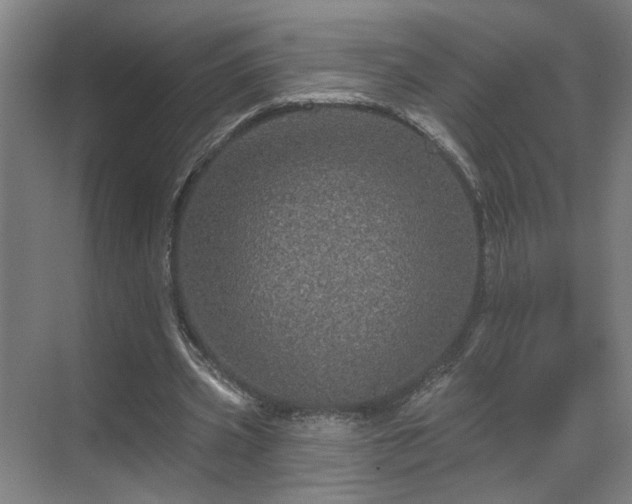 X0000069790533200605261659