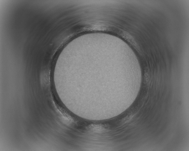 X0000069790534200605261659