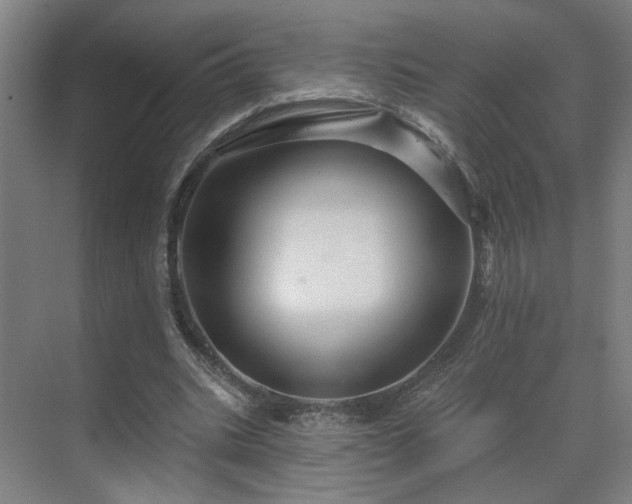 X0000069790535200605261659