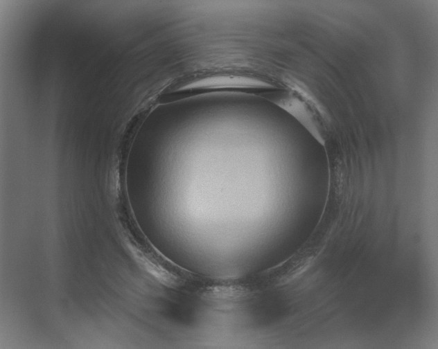 X0000069790541200605261659