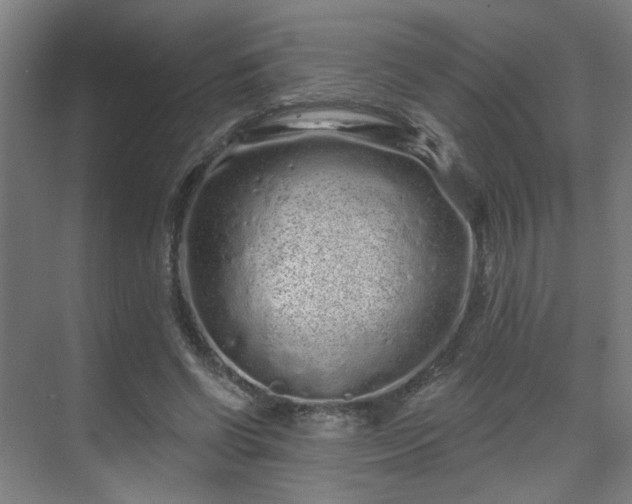 X0000069790542200605261659