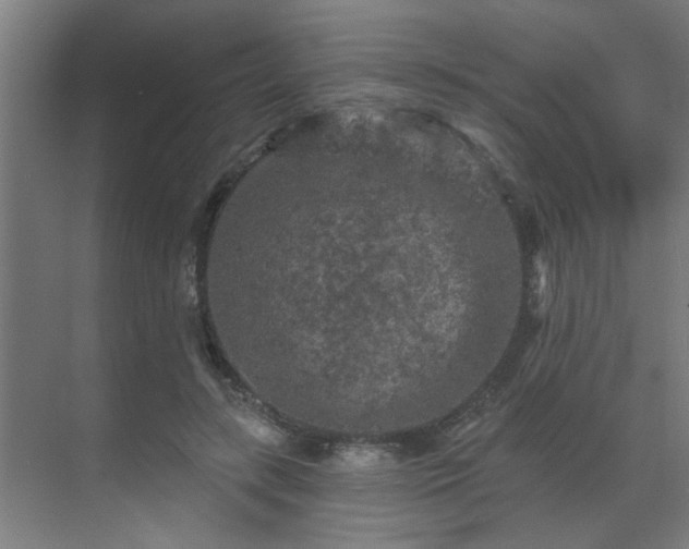 X0000069790547200605261659