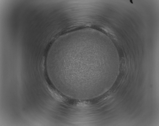 X0000069790550200605261659