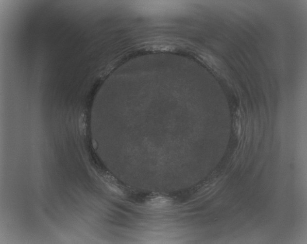 X0000069790551200605261659