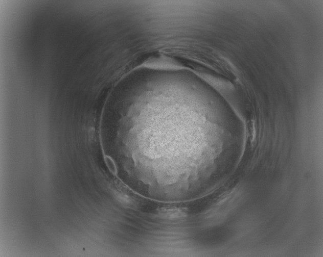 X0000069790553200605261659