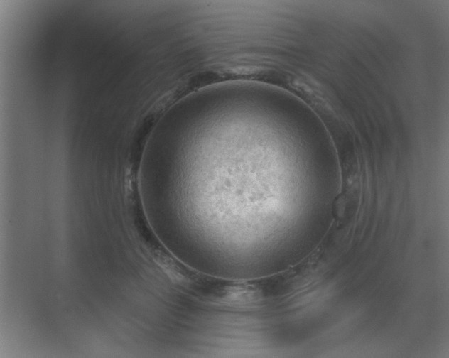 X0000069790555200605261659