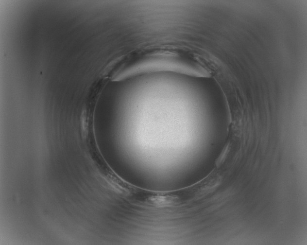 X0000069790558200605261659