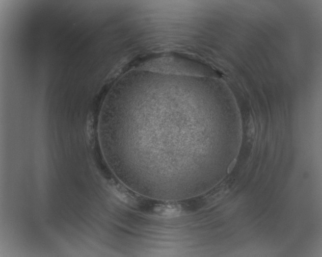 X0000069790559200605261659