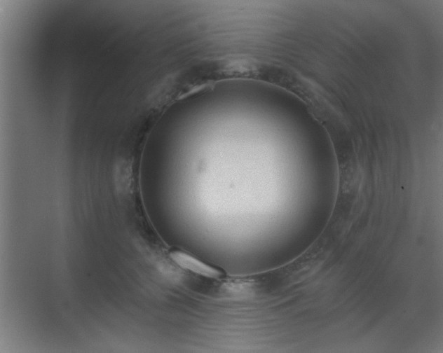 X0000069790560200605261659