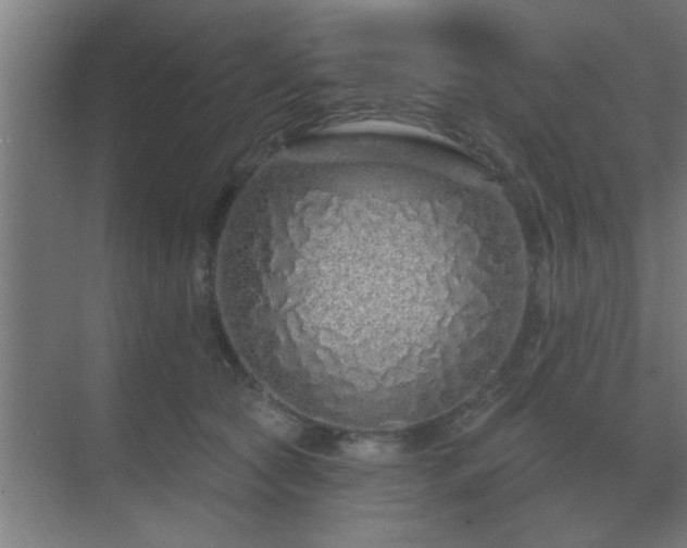 X0000069790561200605261659