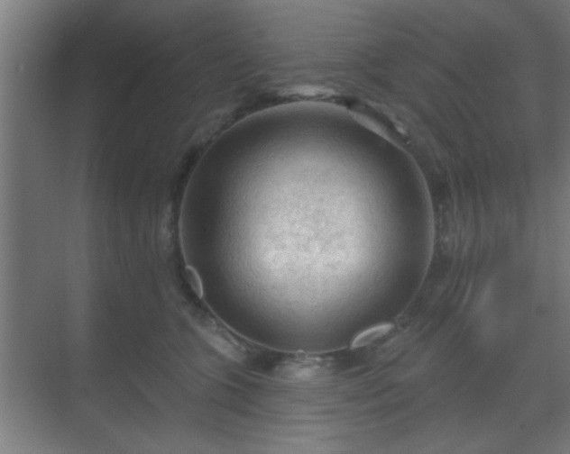 X0000069790563200605261700