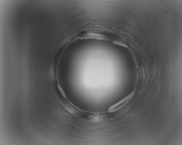 X0000069790564200605261700