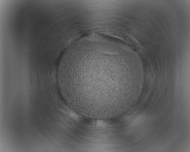 X0000069790565200605261700