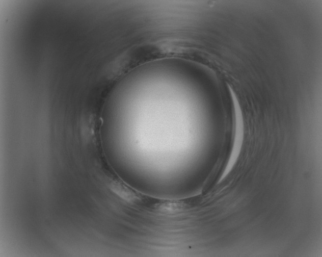 X0000069790567200605261700