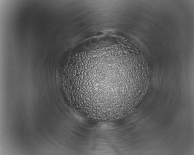 X0000069790569200605261700