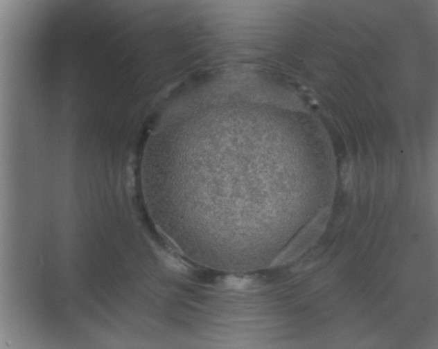 X0000069790570200605261700