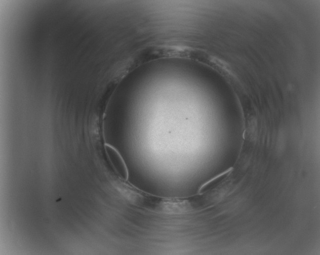 X0000069790571200605261700