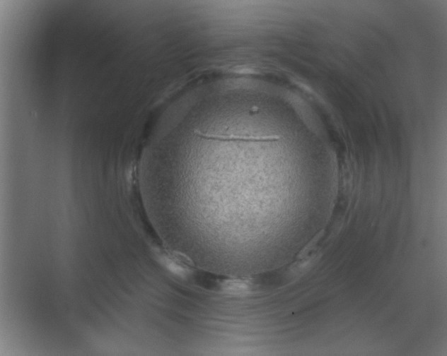 X0000069790574200605261700