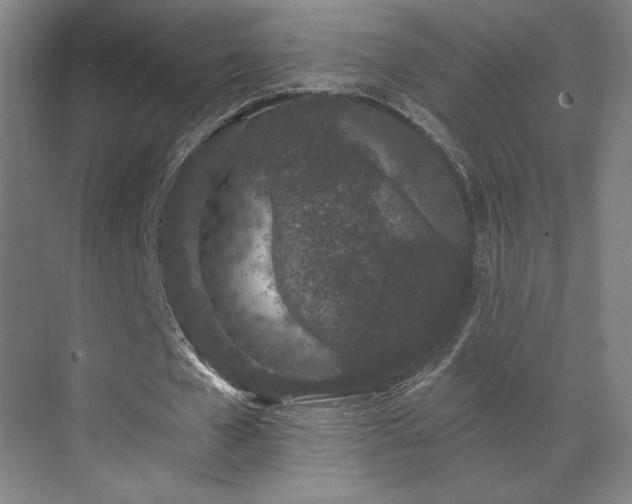 X0000069790577200605261659