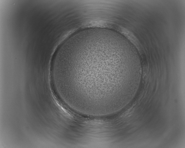 X0000069790578200605261659