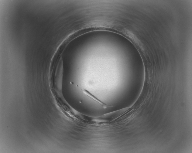 X0000069790580200605261659