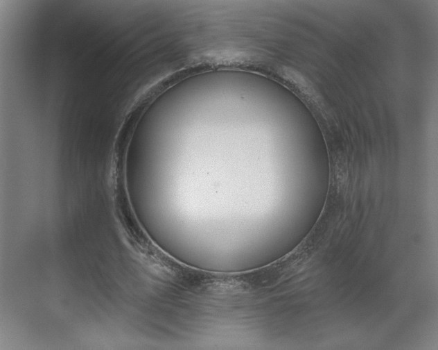 X0000069790583200605261659