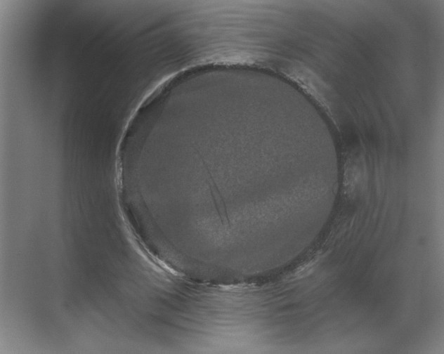 X0000069790584200605261659