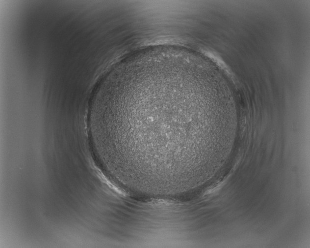 X0000069790585200605261659