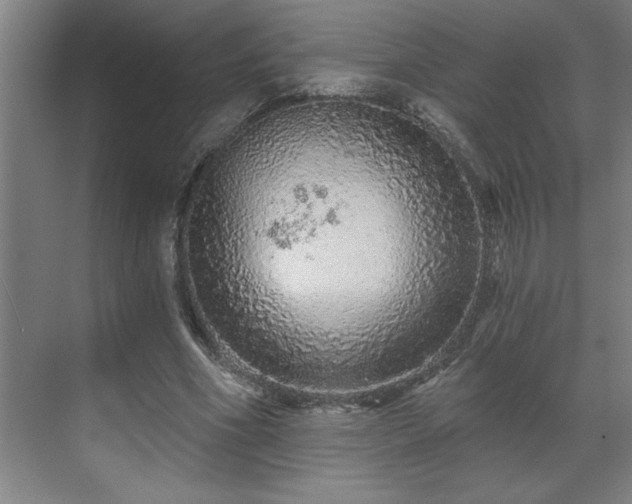 X0000069790586200605261659