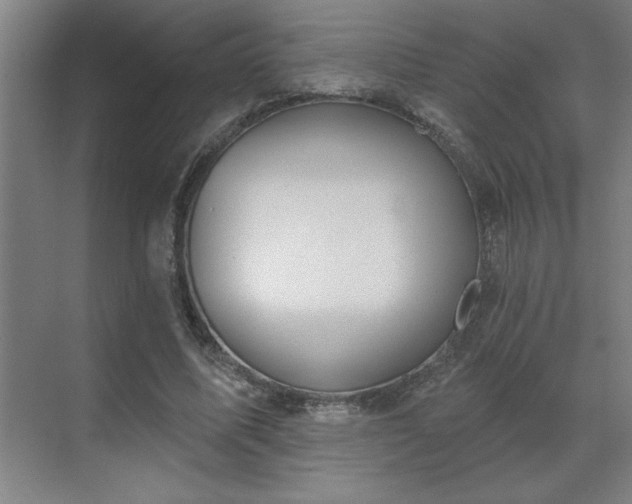 X0000069790587200605261659