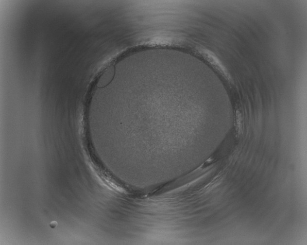 X0000069790588200605261659