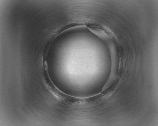 X0000069790589200605261659