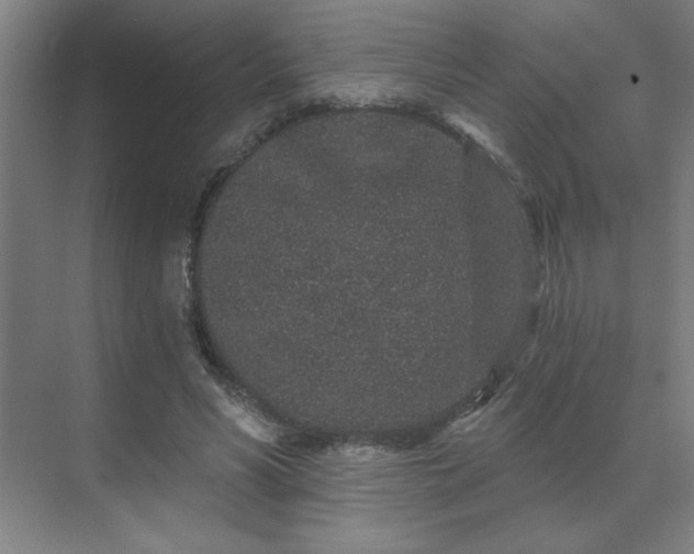 X0000069790590200605261659