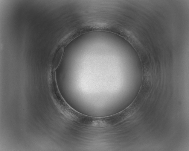 X0000069790591200605261659