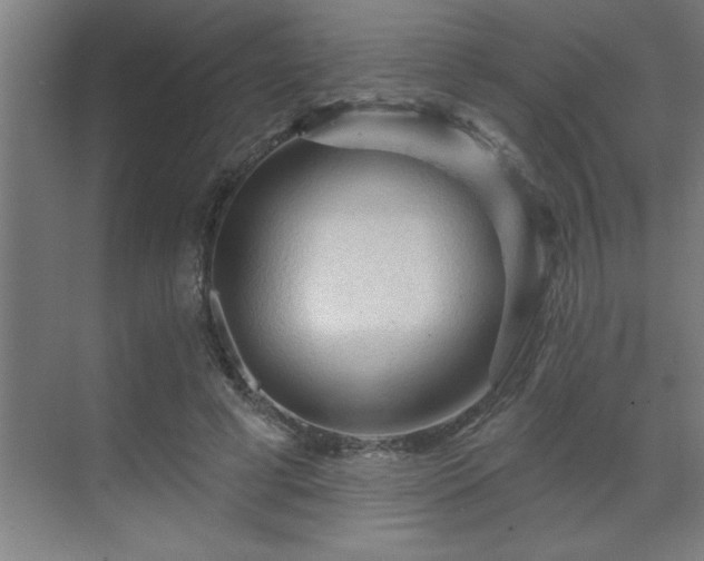 X0000069790593200605261659