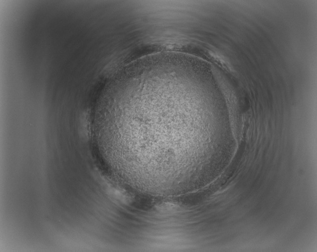 X0000069790594200605261659