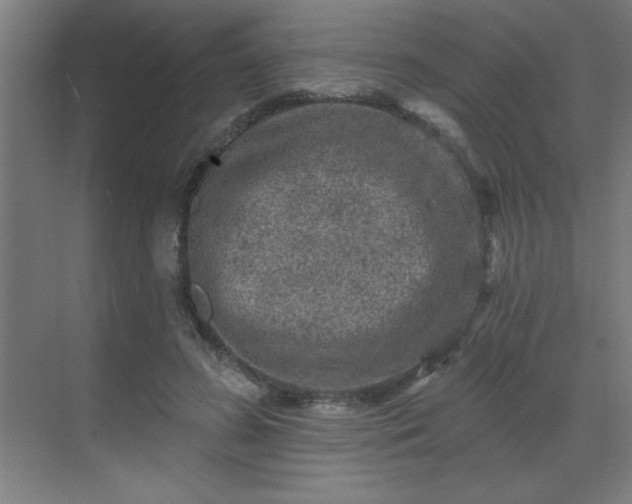 X0000069790596200605261659