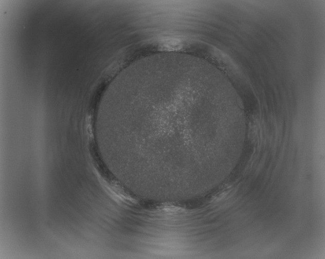 X0000069790598200605261659