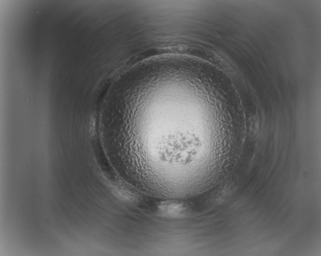 X0000069790602200605261659