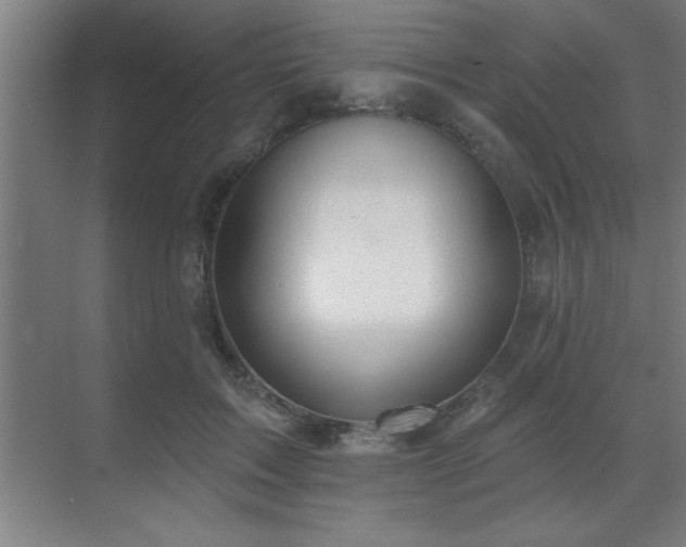 X0000069790603200605261658