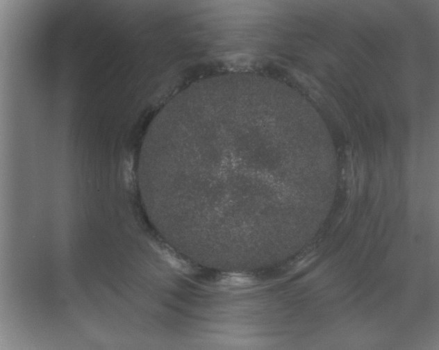 X0000069790610200605261658