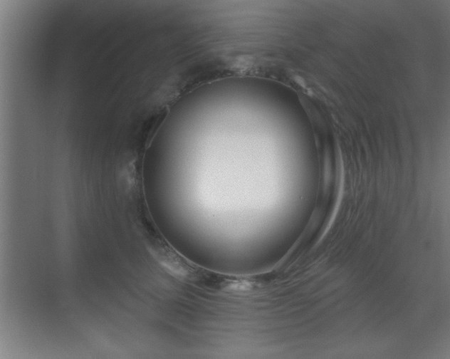 X0000069790611200605261658